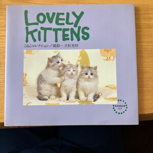 Ｌｏｖｅｌｙ　ｋｉｔｔｅｎｓ　こねこコレクション 立松光好／撮影