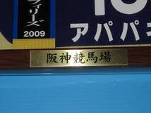 匿名送料無料☆第61回 阪神JF GⅠ 優勝 アパパネ 額入り優勝レイ付ゼッケンコースター JRA 阪神競馬場 ★即決！ウマ娘 アイドルホース 競馬_画像4