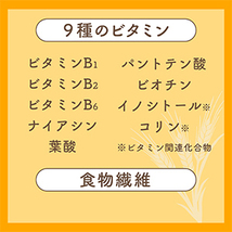 エビオス錠 750粒 EBIOS 胃腸 栄養補給薬 消化不良 食欲不振 ビタミンB1 B2 B6 たんぱく質 ミネラル グルカン マンナン 食物繊維 核酸_画像8