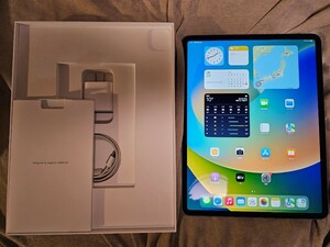 【美品】12.9インチ iPad pro 第4世代 256GB Wi-Fi MXAT2J/A　スペースグレイ