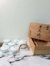 NN0808　０３４　未使用品　美濃　盛山窯　白梅御茶器揃　急須　蓋付き湯　５客　共箱付き　梅紋　陶器　骨董　煎茶道具　茶器セット　_画像1