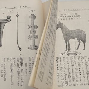 大正12年 オキシへーラー 使用書 前島震太郎 戦前 家庭用 医療器具 健康器具 磁気治療器 民間療法 説明書 広告 大正時代 アンティークの画像9