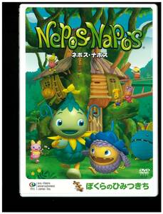 DVD☆ネポス ナポス☆ぼくらのひみつきち☆Nepos Napos☆NNDV 05051