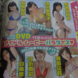 月刊ヤングチャンピオン烈2012年No1 DVD 佐藤聖羅、原幹恵、瑠川リナ、麻美ゆま、菅原梨央、松嶋ののか、堀川美加子、和田絵莉ほかの画像5