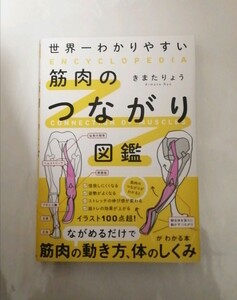 【新品 未読品】世界一わかりやすい筋肉のつながり図鑑 きまたりょう 送料込み