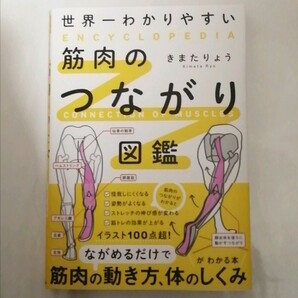 【新品 未読品】世界一わかりやすい筋肉のつながり図鑑 きまたりょう 送料込み