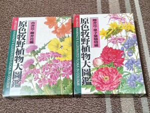 北隆館 原色牧野植物大図鑑 牧野富太郎 合弁花離弁花編 / 離弁花単子葉植物編 2冊セット♪