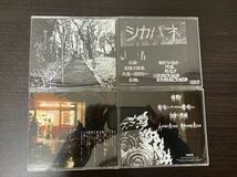 屍 CD 4枚 シカバネ しかばね shikabane grindcore グラインドコア gauze lipcream sob パンク ハードコア punk hardcore_画像2