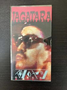 JAGATARA 例のヤツ VHS VOS(1988/5)付 じゃがたら パンク punk 宝島 DOLL