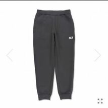 WDS-ES CARDBOARD EASY PANTS CHARCOAL_画像1