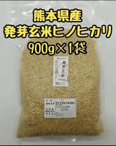 熊本県産 令和5年新米100% 発芽玄米 900g ヒノヒカリ