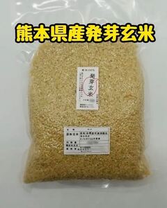 熊本県産 令和5年新米100% 発芽玄米 2kg ヒノヒカリ　