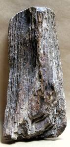 珪化木　木化石　0.9ｋｇ　忍耐・継続と平常心のパワーストーン　ペトリファイドウッド