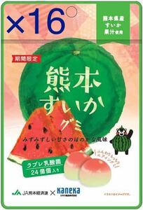 【送料無料・大特価・1袋あたり60円！】 カネカ食品 熊本すいかグミ ラブレ乳酸菌24億個入り 40g 16袋 賞味期限：2023/11/22