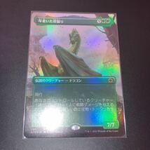 foil セットブースター版　年老いた骨齧り　ギャザリング mtg フォーゴトン　レルム探訪_画像1