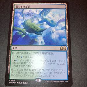 眠らずの鶴茎　ギャザリング mtg エルドレインの森