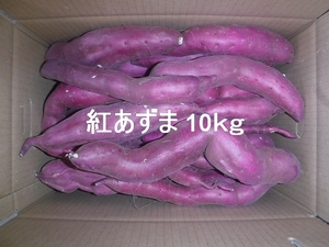 さつまいも 紅あずま 10kg千葉県産農家直送 規格外品（正味11kg以上入れます）No2