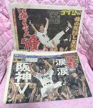 ★★★阪神タイガース◆2003年星野監督◆セリーグ優勝時のスポーツ新聞7部★★★_画像3