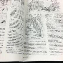 h-310 地質と調査(小特集)土木構造物の維持管理 '99第2号 編集/社団法人 全国地質調査業協会連合会 土木春秋社※8_画像4