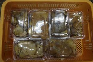 ●北信州天然キノコ　商品名ムキタケ　　目方　1.8ｋｇ　秋だから出来る1円オークション　美味しいキノコを食べて下さい(0)