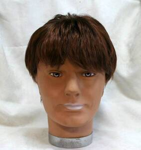  for man wig 0156 wild . tea .. color Short type domestic free postage 