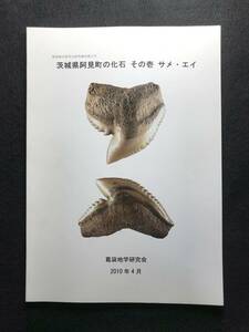 茨城県阿見町の化石 その壱 サメ・エイ 日本の化石