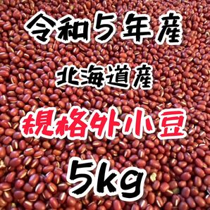 【規格外】 令和5年産 北海道産 小豆 きたのおとめ 5kg 新豆