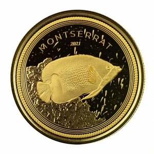 [ written guarantee * case attaching ] 2021 year ( new goods )monto Sera to[enzeru fish * heaven person striped beakfish ] original gold 1 ounce gold coin 