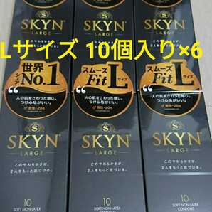 SKYN コンドーム Lサイズ 10個入り×6