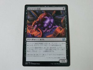 MTG 美品 【かじりつく害獣】 （アンコモン） 兄弟戦争 BRO 日 9枚迄