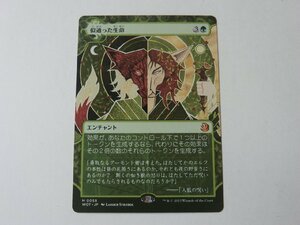 MTG 美品 【似通った生命】 （神話レア） エルドレインの森 WOT 日 2枚迄