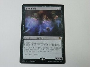 MTG 美品 【迷いし者の魂】 （レア） イクサラン：失われし洞窟 LCI 日 5枚迄