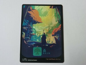 MTG 美品 【フルアートの森（FOIL）】 （コモン） イクサラン：失われし洞窟 LCI 日 4枚迄