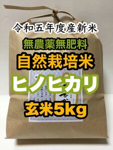 【自然栽培ヒノヒカリ】新米　玄米5kg 令和5年度産　無農薬無肥料米