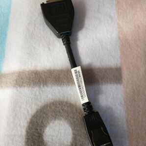 ディスプレイポート　 DVI 変換ケーブル　lenovo