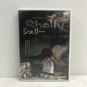 I0803A2 シェリー Shelly DVD レンタル版 ダモアエムシープロモーション 邦画 青春 尾崎豊 MayDoni / 森崎ウィン 真行寺君枝 清水みさと 他