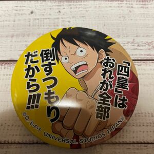 ユニバーサルスタジオジャパンワンピース 缶バッジ　USED 送料無料　4-3