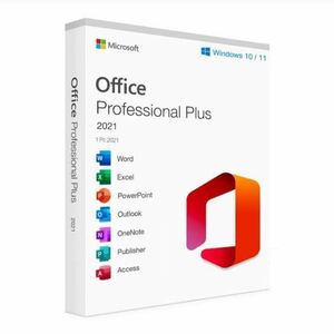 Microsoft Office 2021 Professional Plus 永続ライセンス