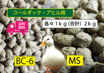 ★送料無料 【アヒル・コールダック用飼育飼料セット】BC-6 MS オリエンタル酵母 2種1ｋｇ×2袋（計2ｋｇ）　 水禽・カモ用_画像1