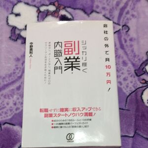 シッカリ稼ぐ副業・内職入門　会社の外で月１０万円！ （会社の外で月１０万円！） 中野貴利人／著