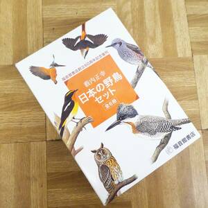 P561【ほぼ未使用】激レア　日本の野鳥セット　全6巻　薮内正幸　児童読み聞かせ　/10