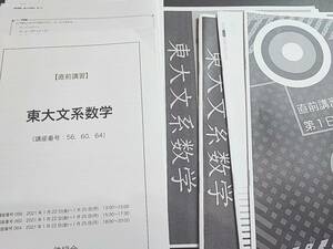 鉄緑会　20年度21年実施　複数人担当　東大文系数学　テキスト・冊子フルセット　上位クラス　河合塾　駿台　鉄緑会　東進 　SEG 