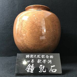 8Y104 鍾乳石 特別天然記念物 山口県 秋芳洞 総重量約13.1kg【商品説明必読】工芸品 飾り壺 インテリア 花瓶 天然石 1000-