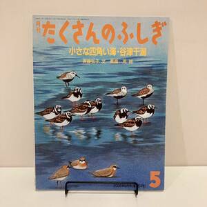 231114【ふしぎ新聞付き美品】月刊たくさんのふしぎ「小さな四角い海・谷津干潟」2006年5月号(第254号)斉藤弘子 長島充 福音館書店★絵本