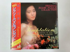 GOODS / ジグソーパズル 樋口可南子 / TEMPTATION / セクシージャケ [5337RQ]