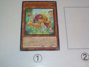 遊戯王　11期　DABL　ナチュル・モルクリケット　レア中古です。