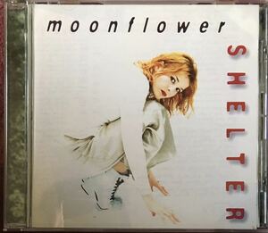 Moonflower[ [Shelter] オランダ / New Wave/ / Post Punk / ネオサイケ /ネオアコ / ギターポップ