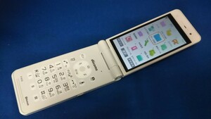 D4804 docomo FOMA P-01G Panasonic パナソニック ガラケー 折り畳み式 簡易動作確認＆簡易清掃＆初期化OK 判定○ 現状品 送料無料　