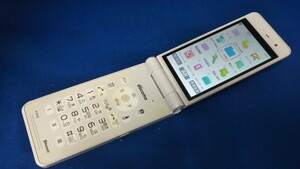 D4831 docomo FOMA P-01G Panasonic パナソニック ガラケー 折り畳み式 簡易動作確認＆簡易清掃＆初期化OK 判定○ 現状品 送料無料　