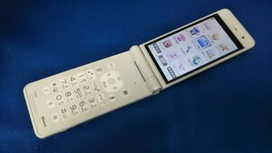 D4844 docomo FOMA P-01F Panasonic パナソニック ガラケー 折り畳み式 簡易動作確認＆簡易清掃＆初期化OK 判定○ 現状品 送料無料　